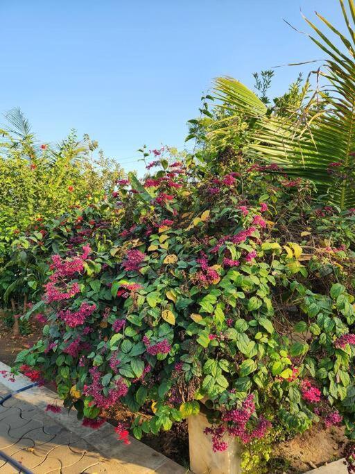 Farmhouse Close To Nature - Kesari Farm Gandhinagar Extérieur photo